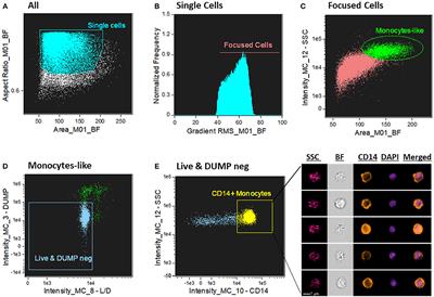 Evaluation of Canonical Inflammasome Activation in Human Monocytes by Imaging Flow Cytometry